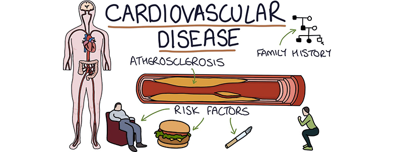 Spirulina and cardiovascular diseases