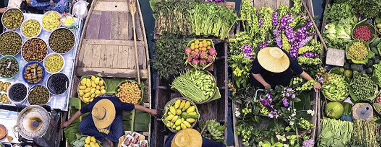 Spirulina against malnutrition